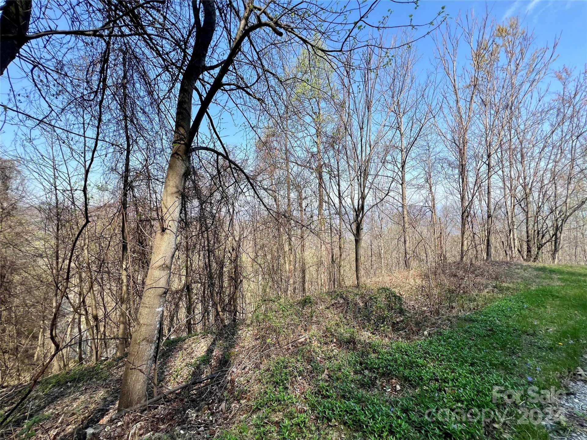 858 Mitchell View Drive #858 - Photo 17