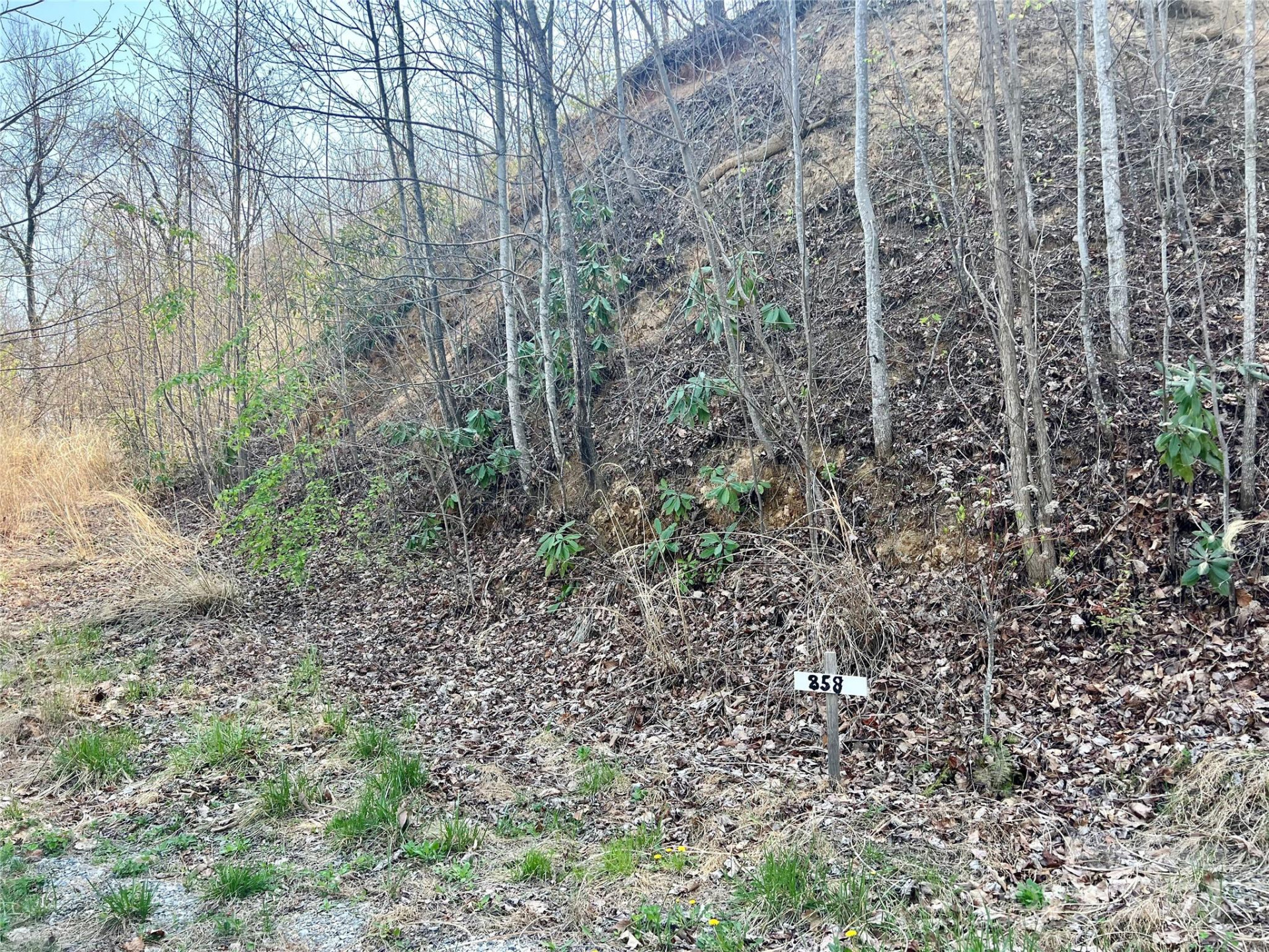 858 Mitchell View Drive #858 - Photo 18