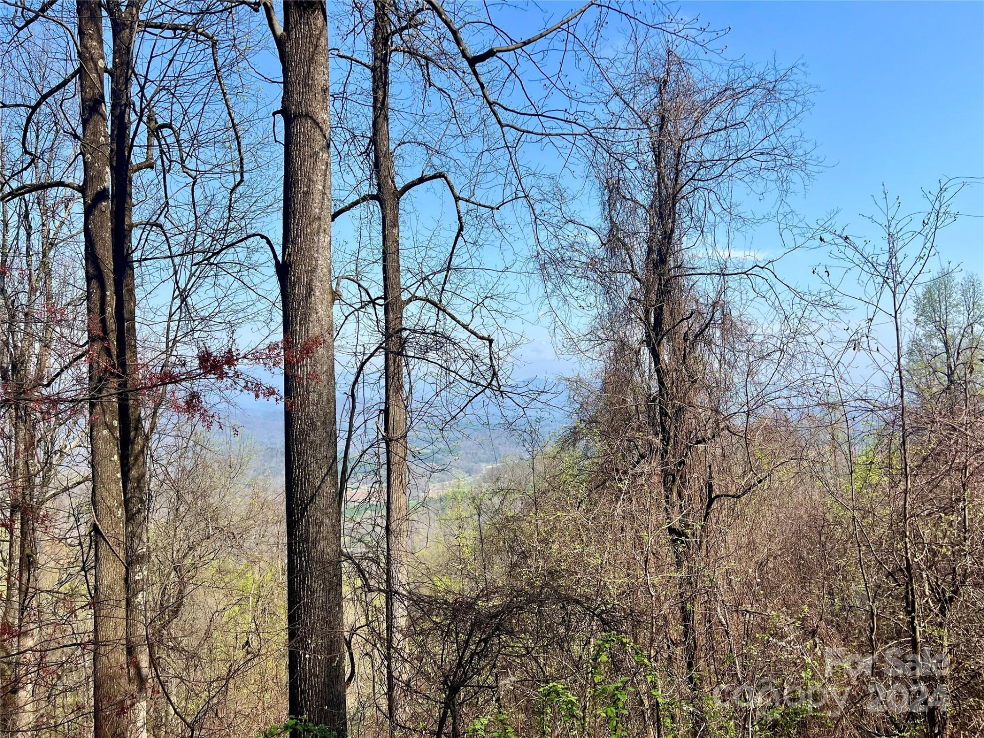 858 Mitchell View Drive #858 - Photo 3