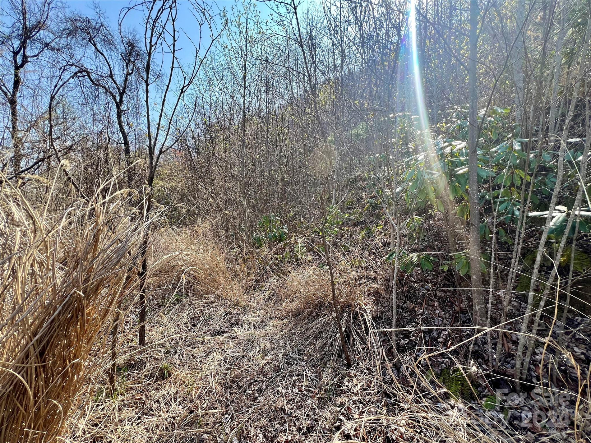 858 Mitchell View Drive #858 - Photo 21