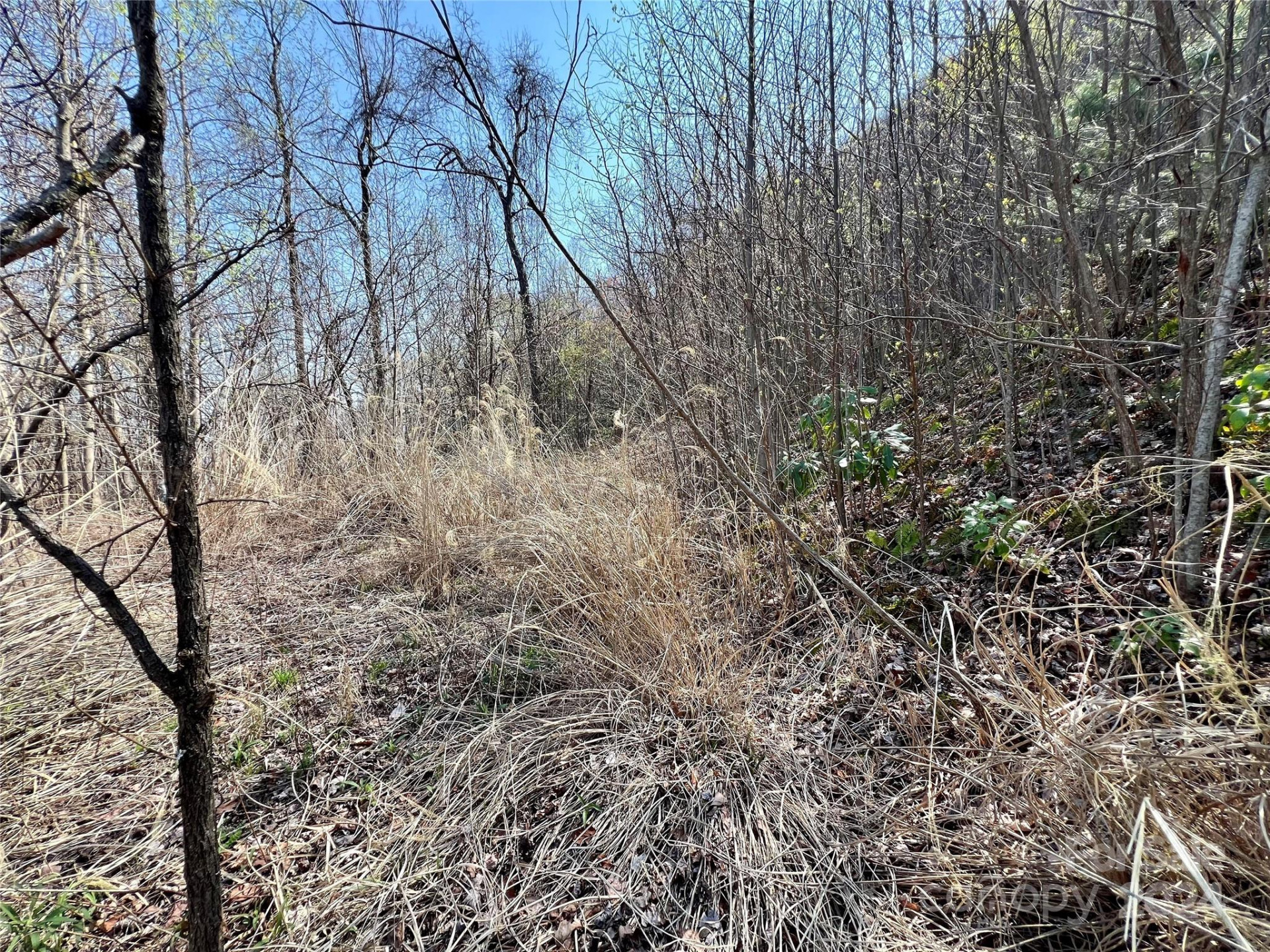 858 Mitchell View Drive #858 - Photo 22