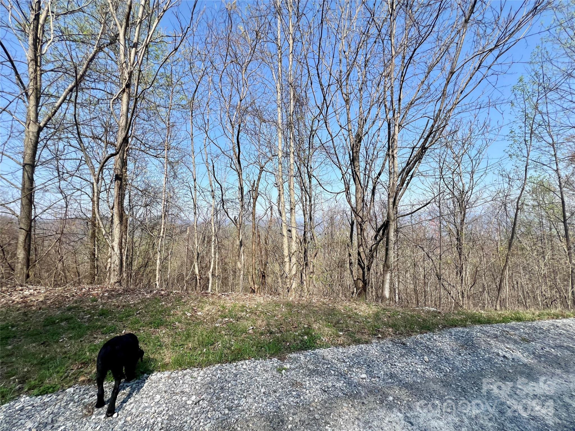 858 Mitchell View Drive #858 - Photo 27