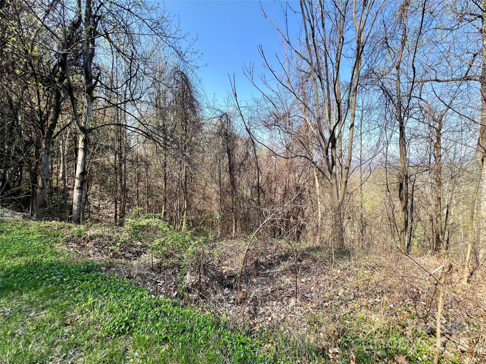 858 Mitchell View Drive #858 - Photo 28