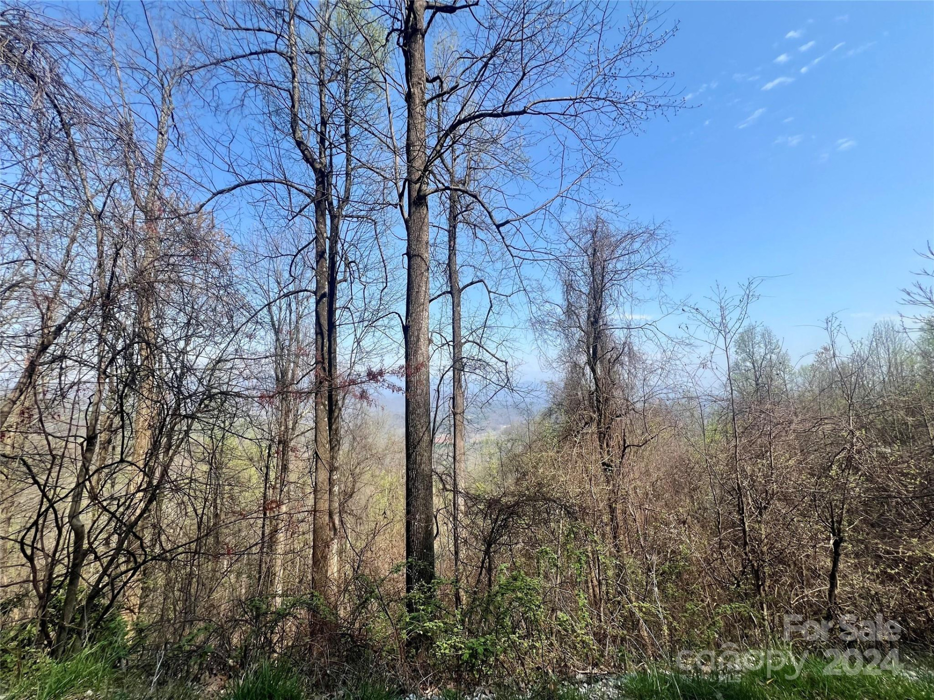 858 Mitchell View Drive #858 - Photo 4