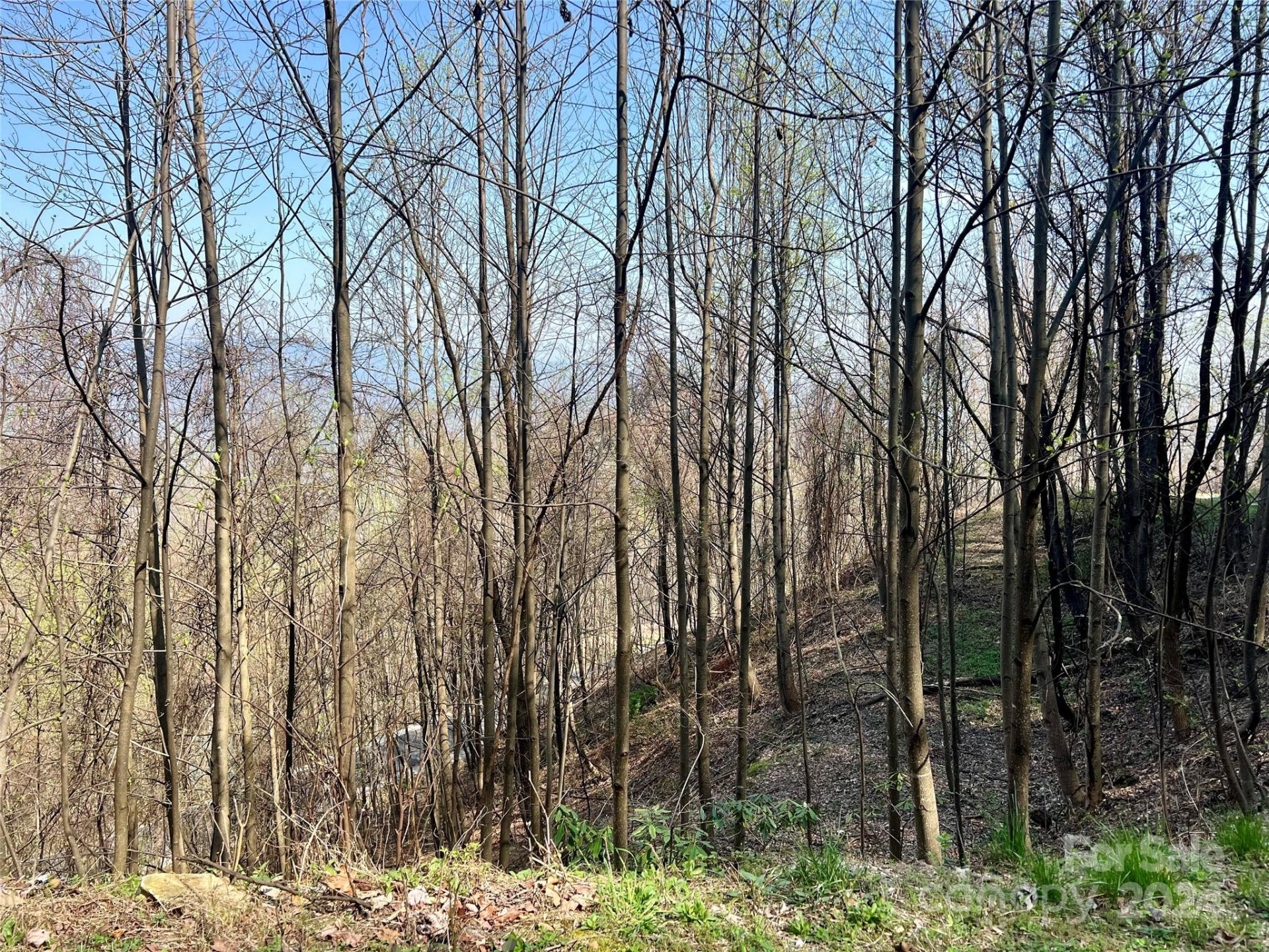 858 Mitchell View Drive #858 - Photo 8