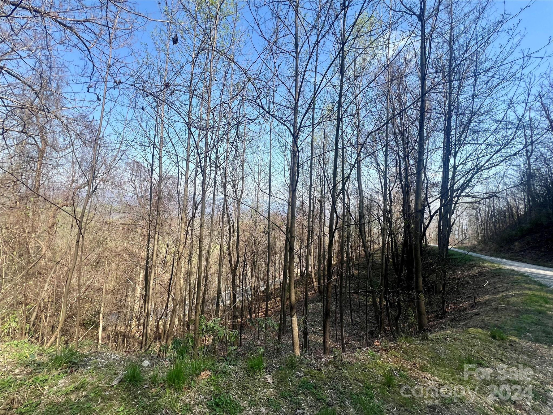 858 Mitchell View Drive #858 - Photo 10