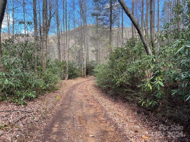 00 Audia Way Drive, Zirconia, NC, 28790