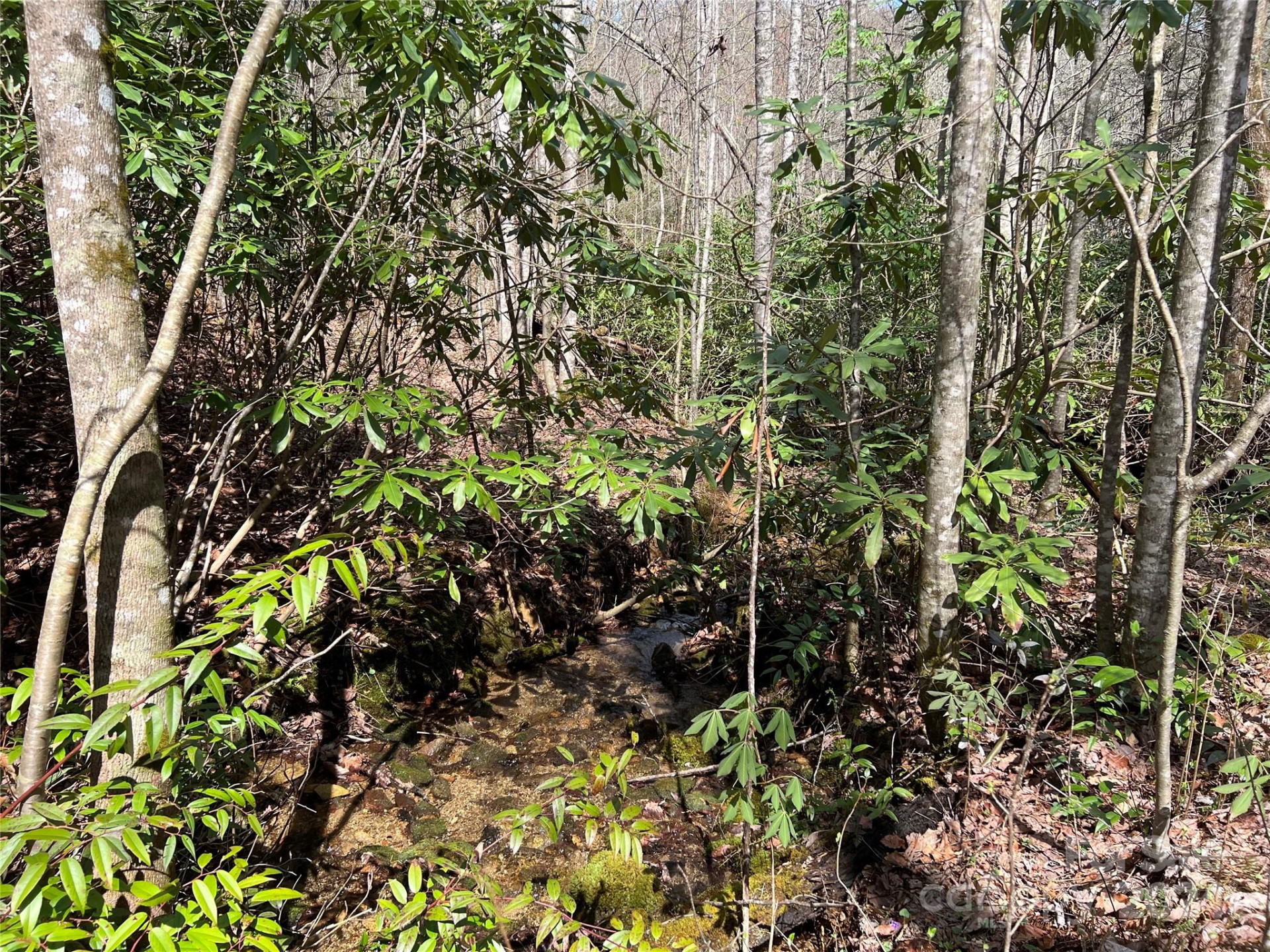 00 Audia Way Drive - Photo 2