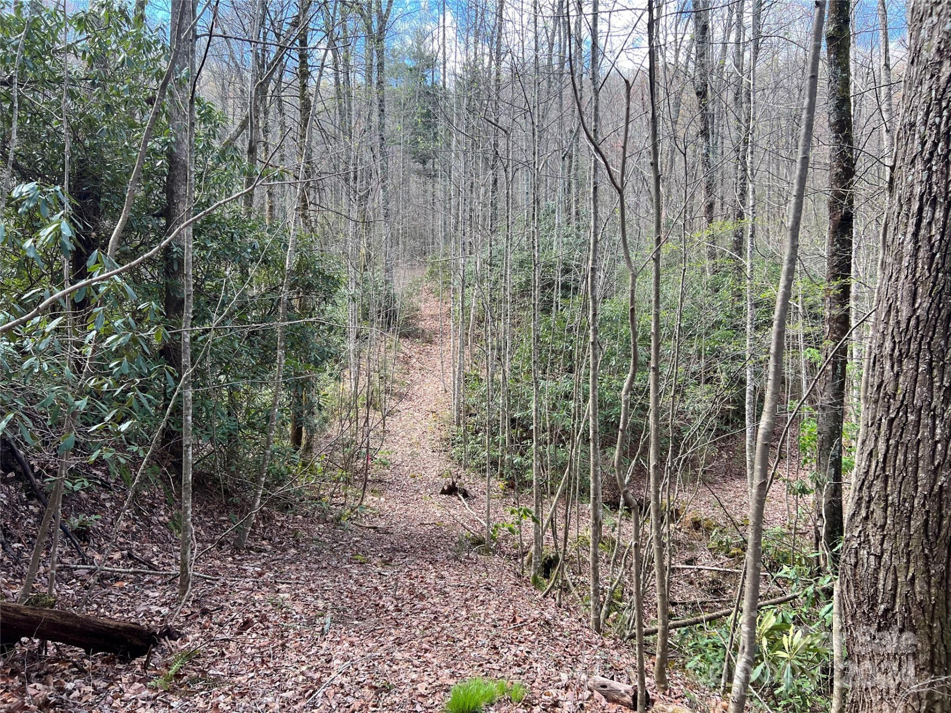 00 Audia Way Drive - Photo 11