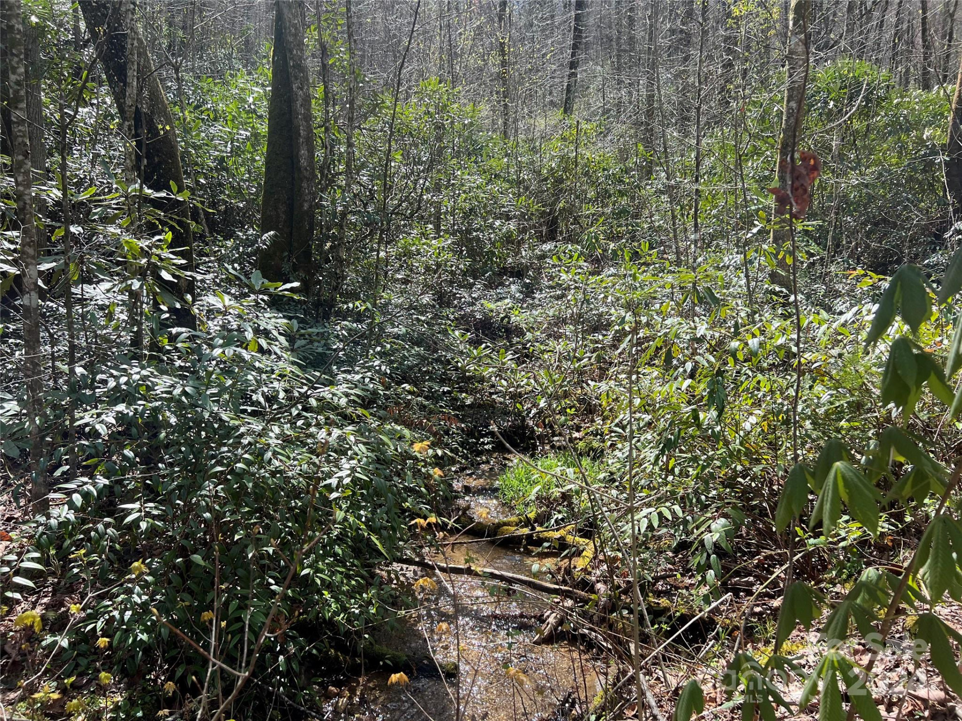 00 Audia Way Drive - Photo 12