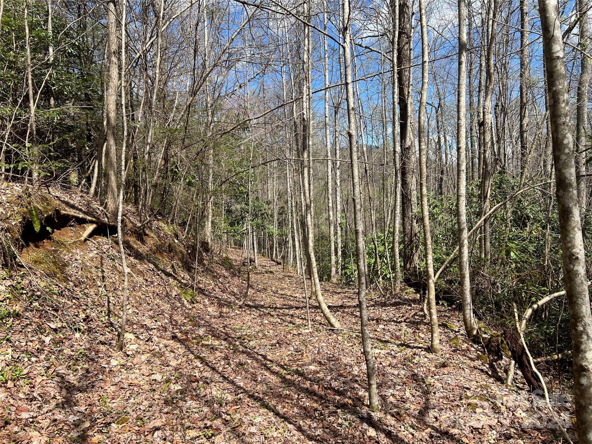 00 Audia Way Drive - Photo 13