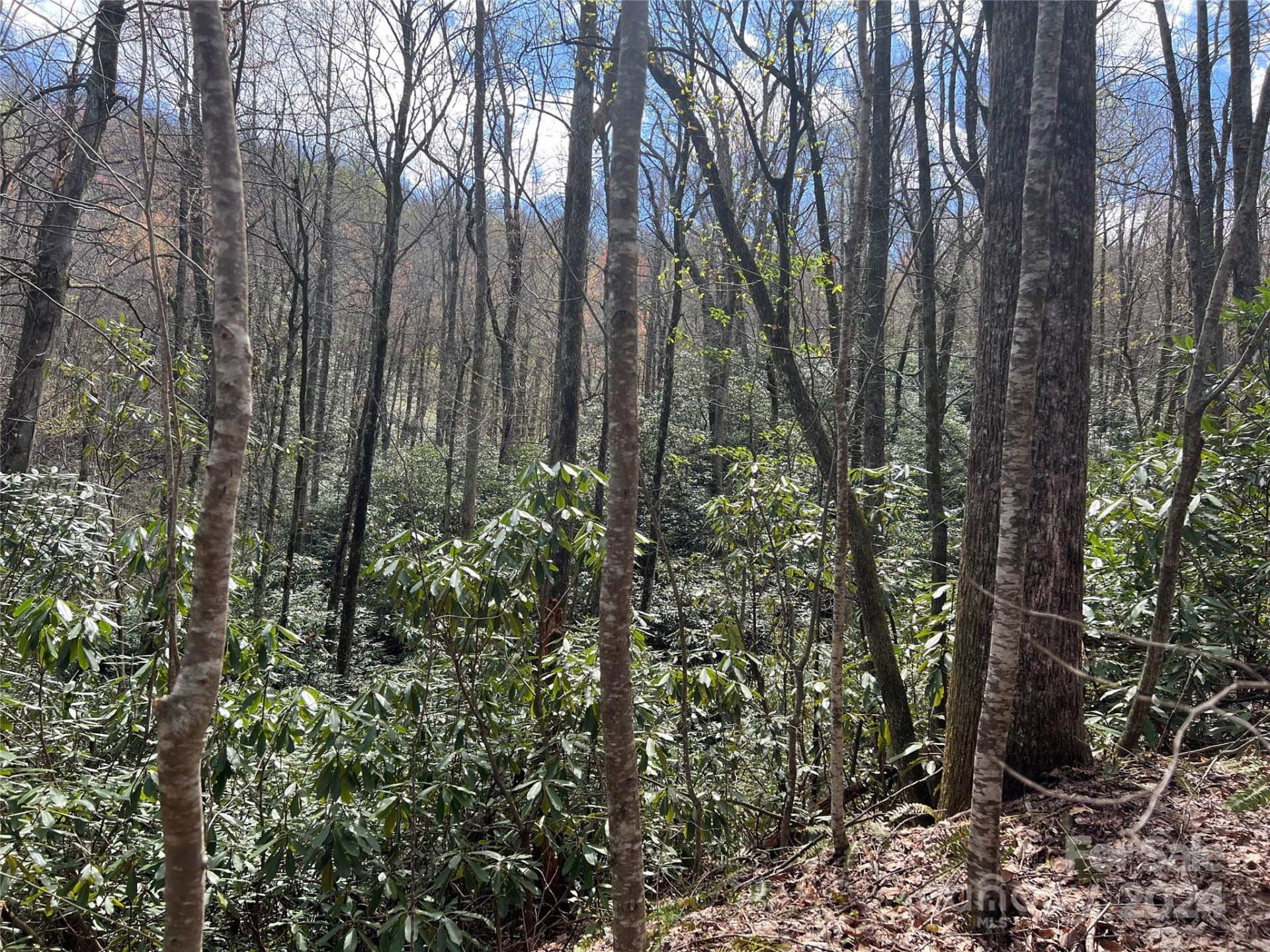 00 Audia Way Drive - Photo 14