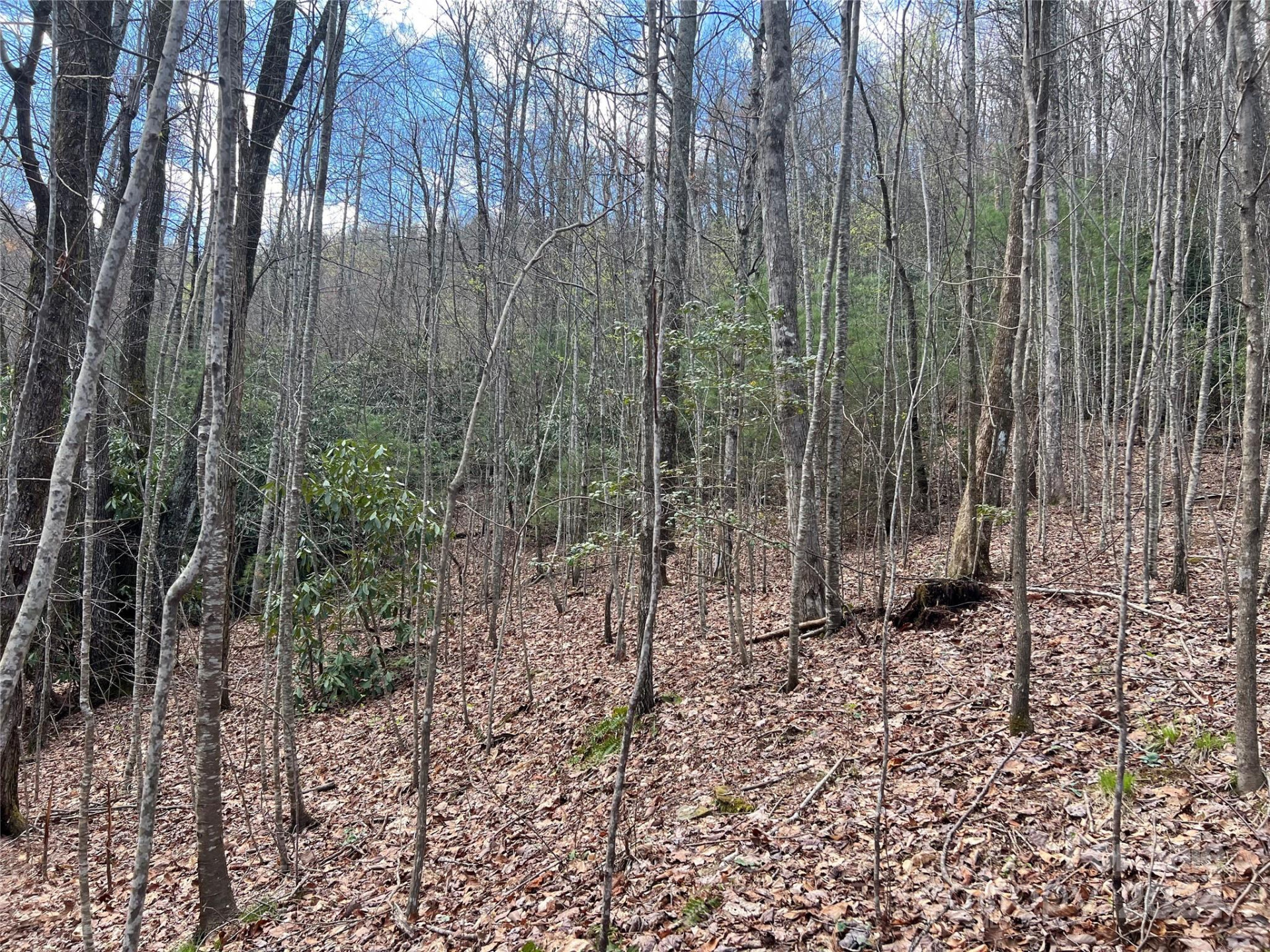 00 Audia Way Drive - Photo 15