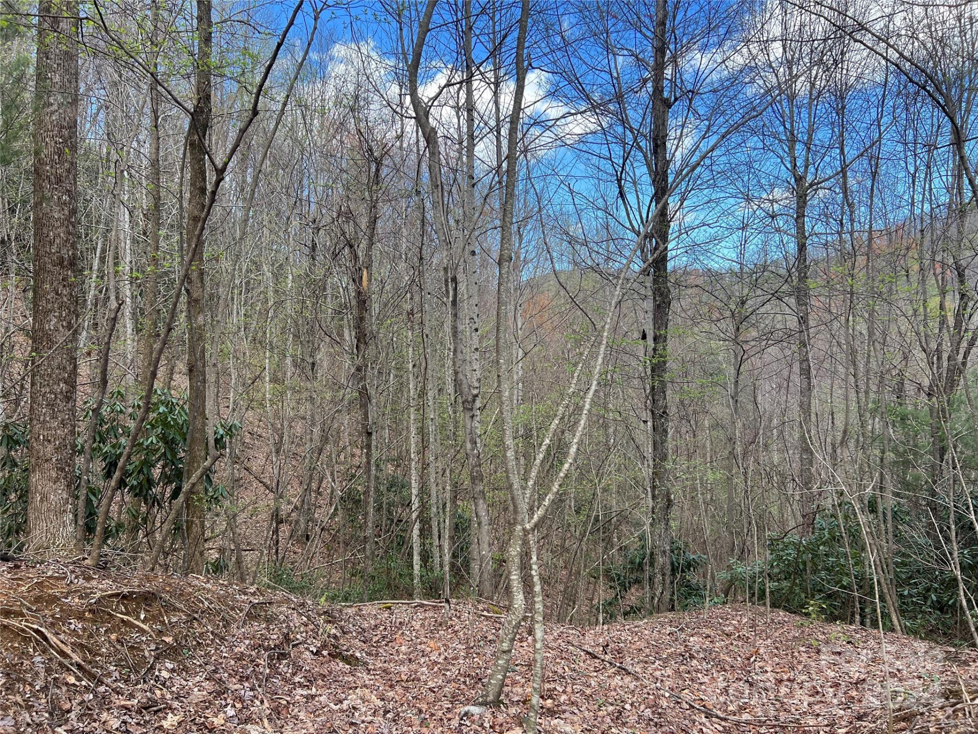 00 Audia Way Drive - Photo 16