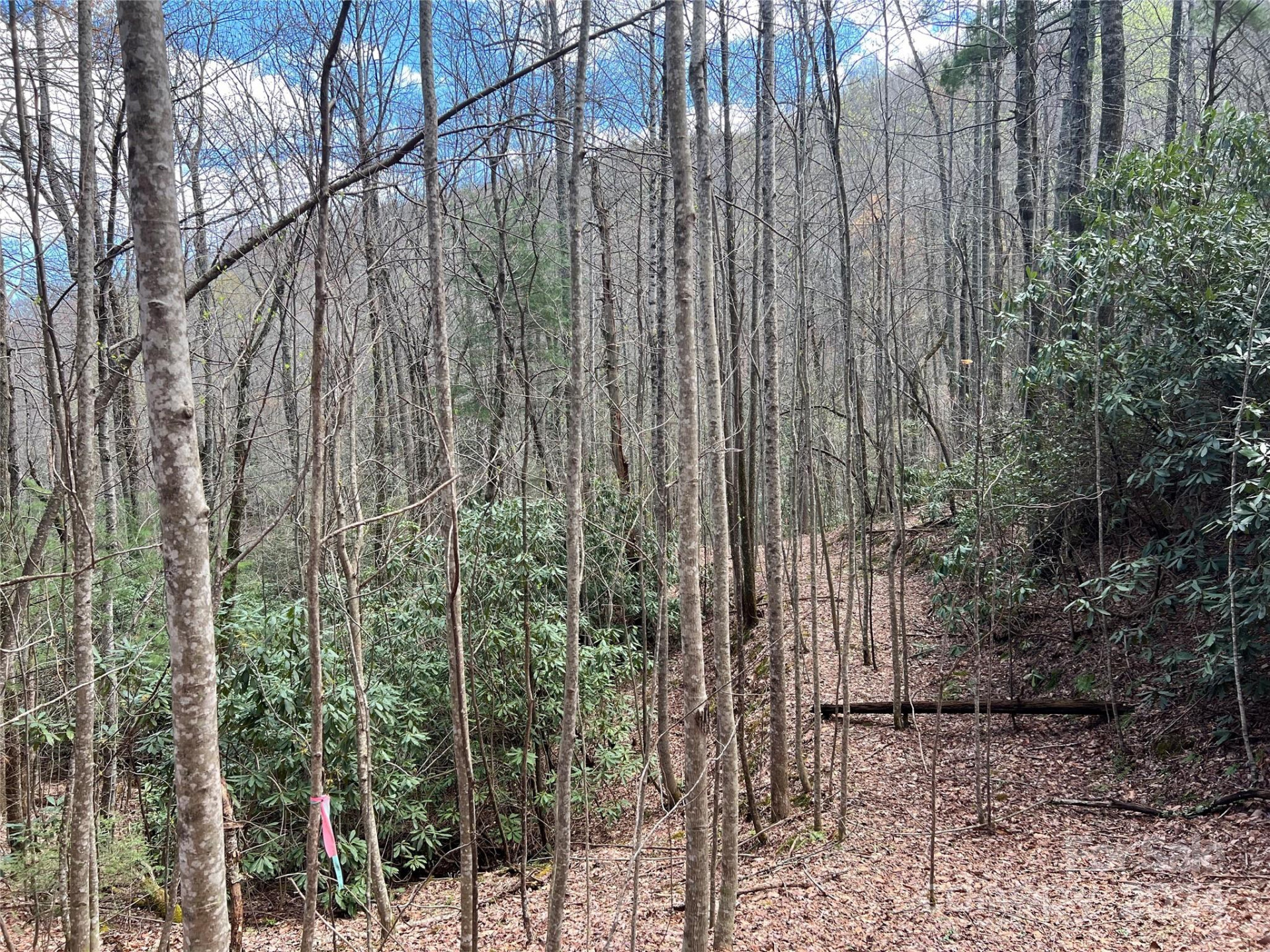 00 Audia Way Drive - Photo 17