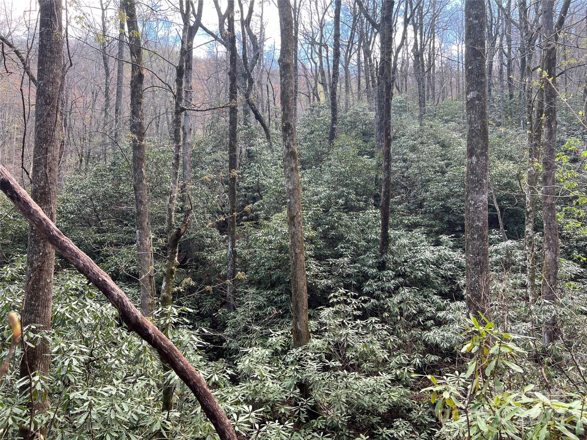 00 Audia Way Drive - Photo 18