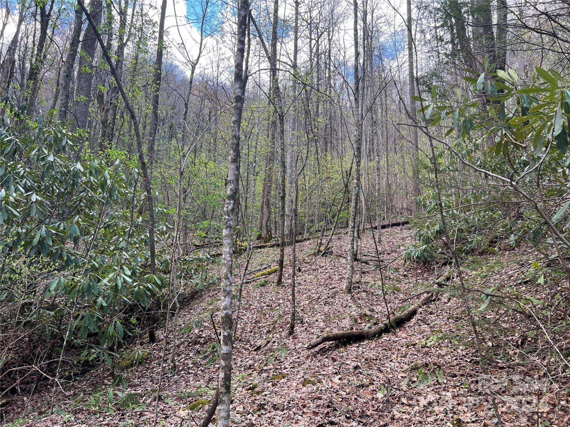 00 Audia Way Drive - Photo 19