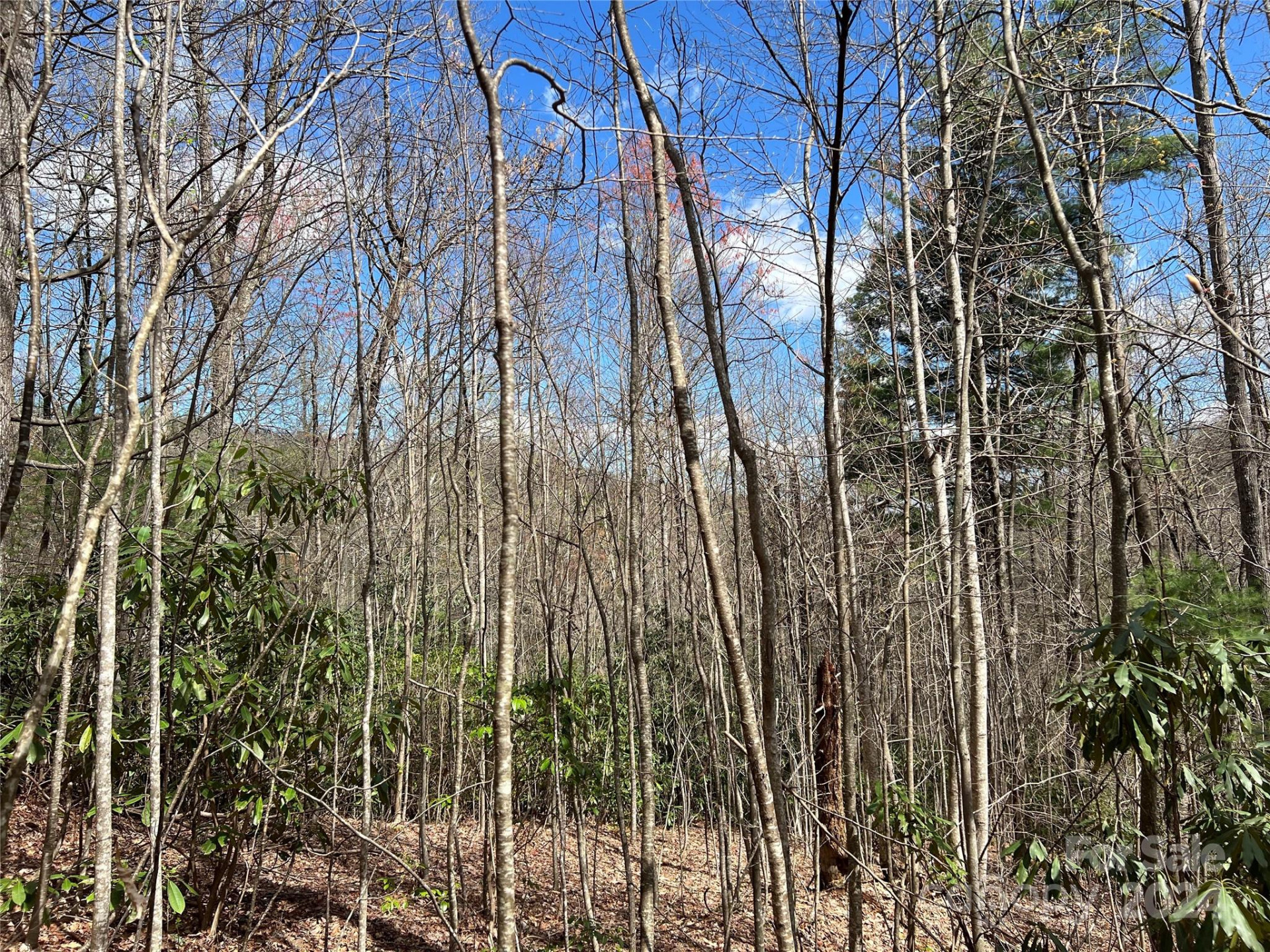 00 Audia Way Drive - Photo 20