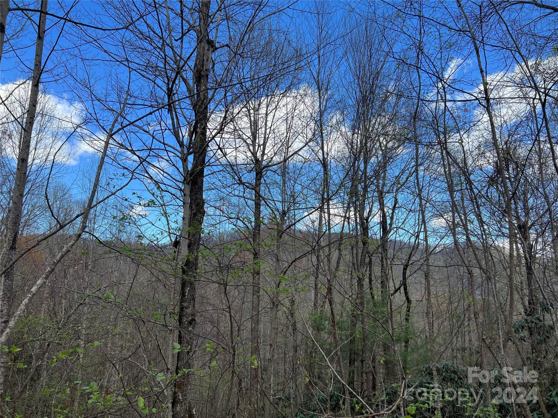 00 Audia Way Drive - Photo 3