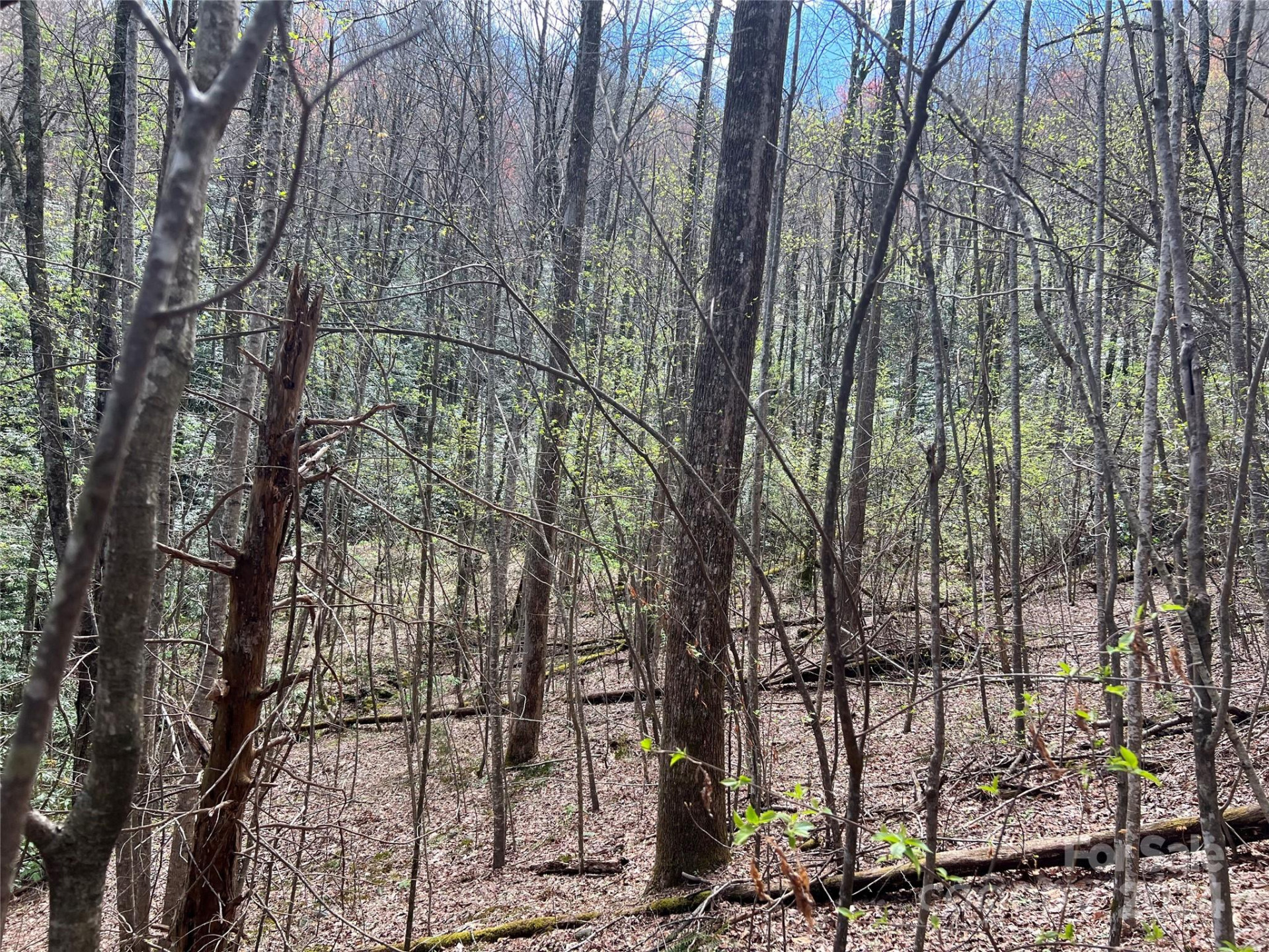 00 Audia Way Drive - Photo 21