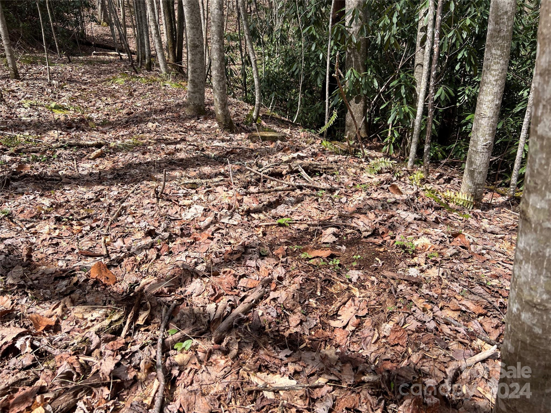 00 Audia Way Drive - Photo 22