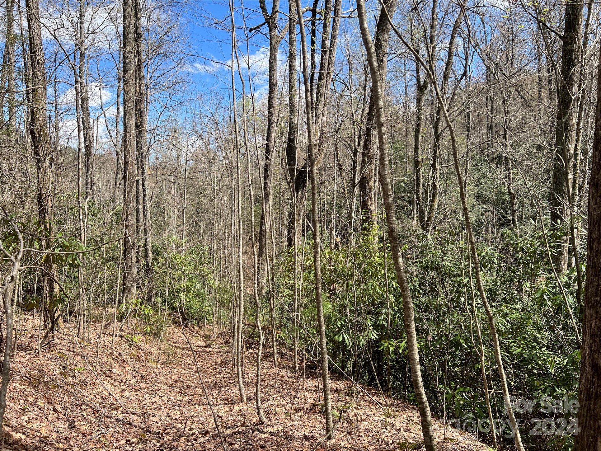 00 Audia Way Drive - Photo 4