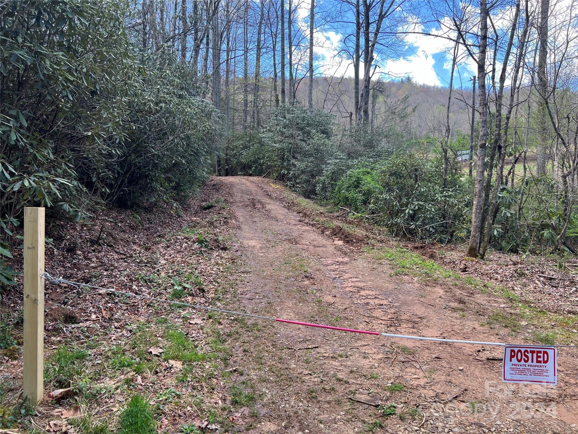 00 Audia Way Drive - Photo 6