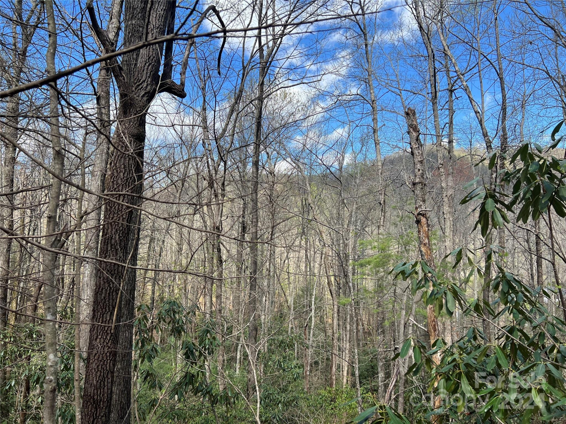 00 Audia Way Drive - Photo 8