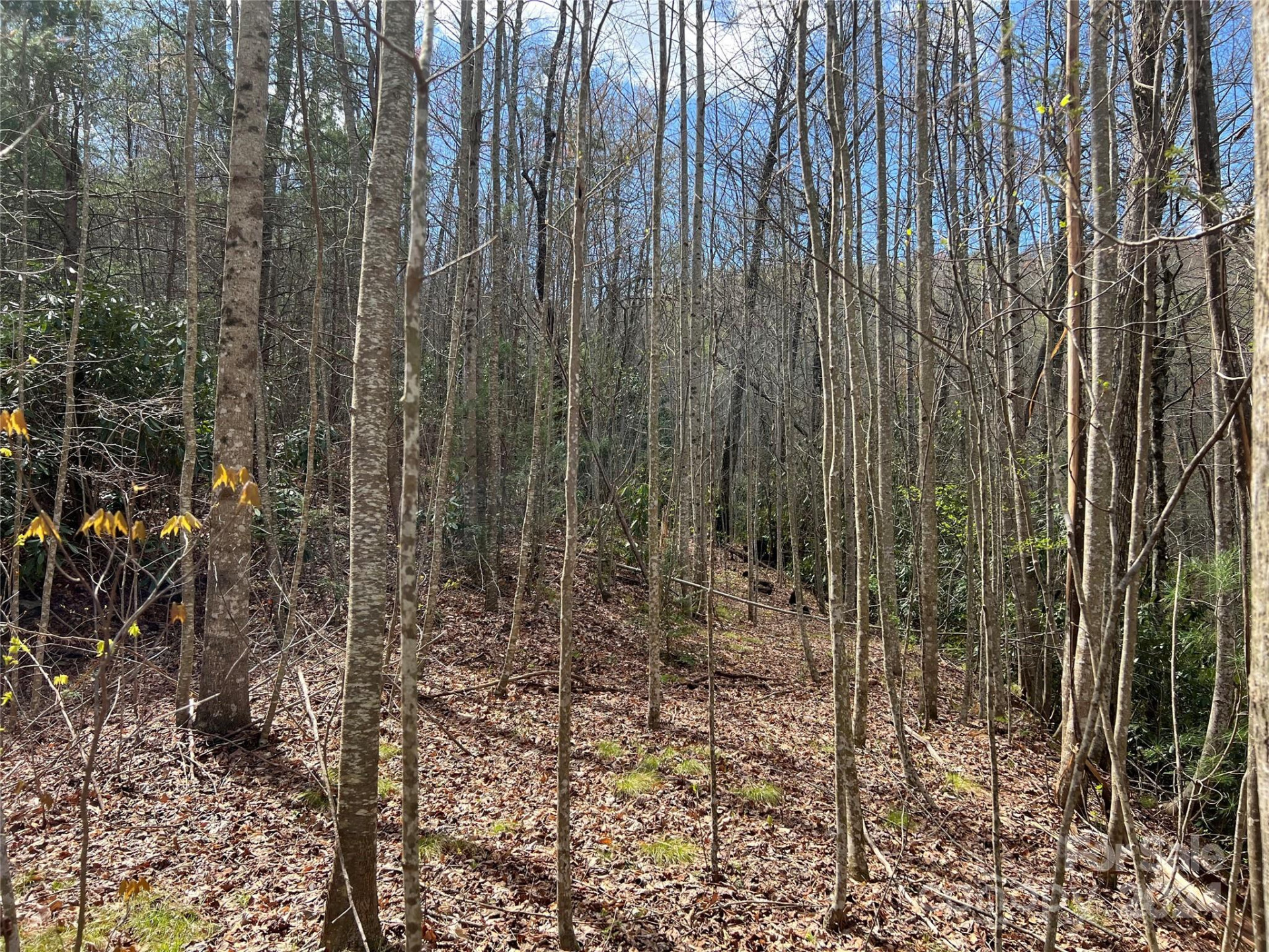 00 Audia Way Drive - Photo 9