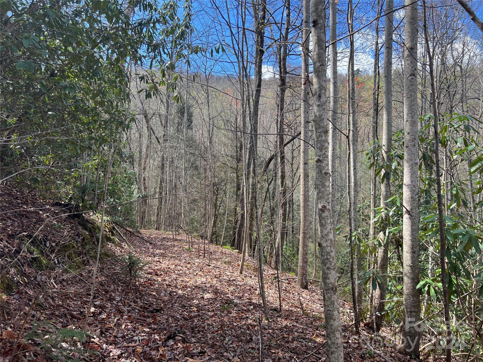 00 Audia Way Drive - Photo 10