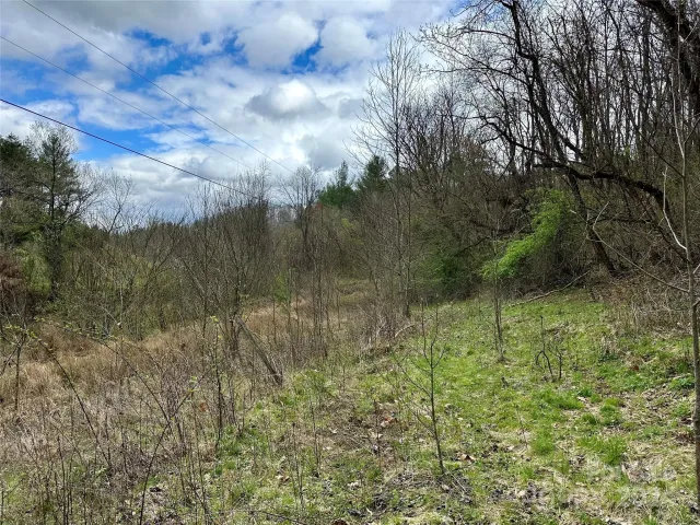 000 Fletcher Martin Road, Alexander, NC, 28701
