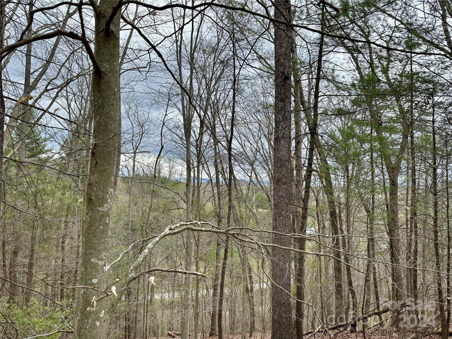 000 Fletcher Martin Road #2 & 3 - Photo 11