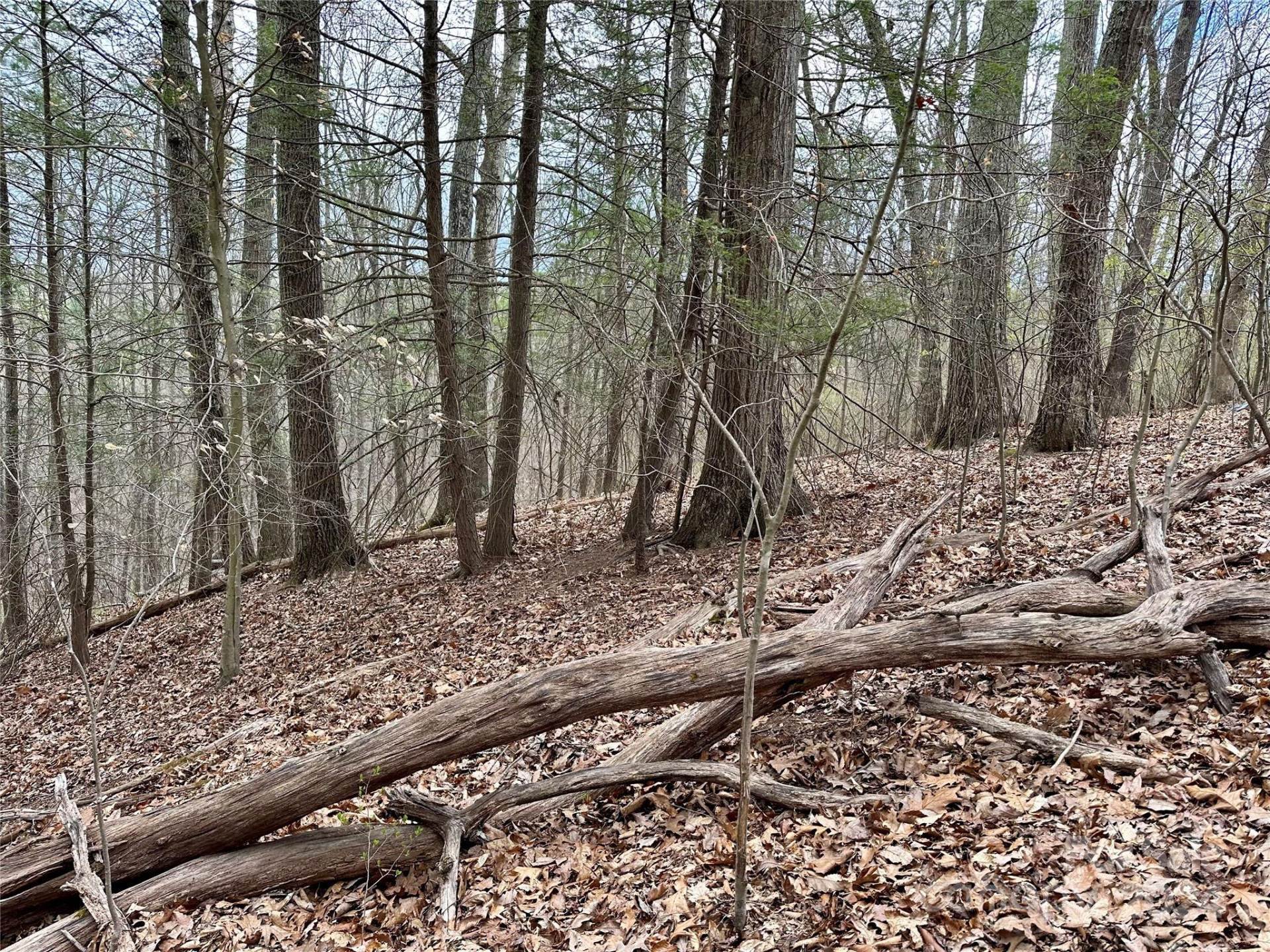 000 Fletcher Martin Road #2 & 3 - Photo 12