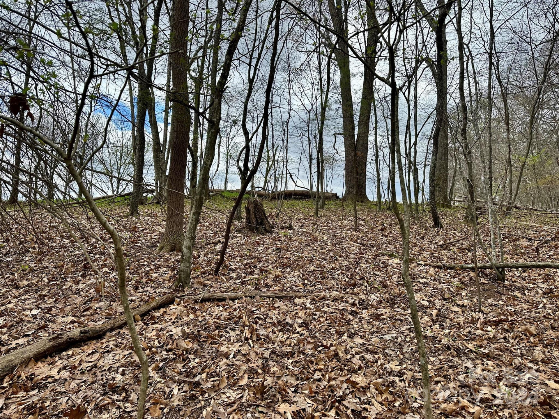 000 Fletcher Martin Road #2 & 3 - Photo 13