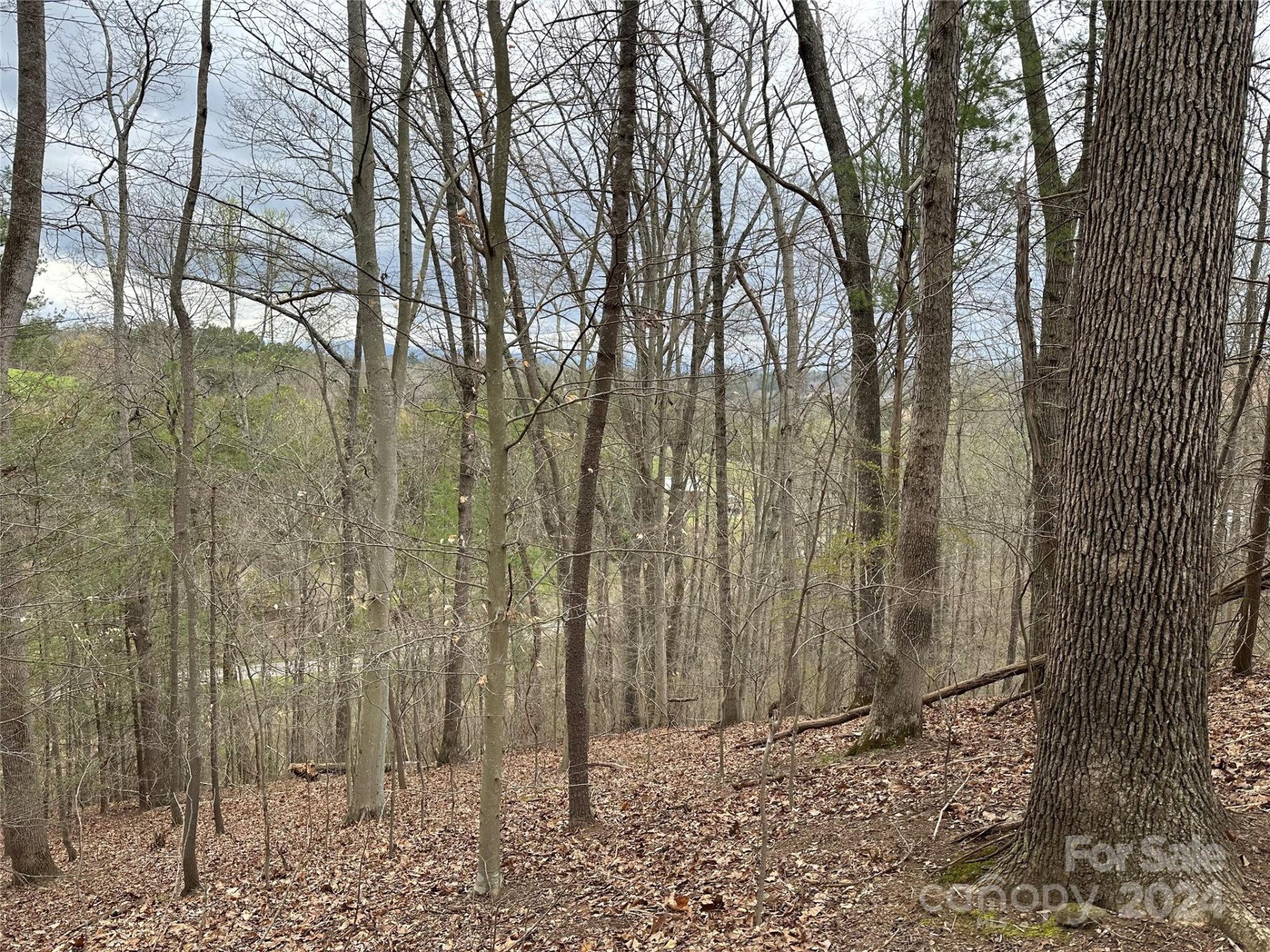 000 Fletcher Martin Road #2 & 3 - Photo 14