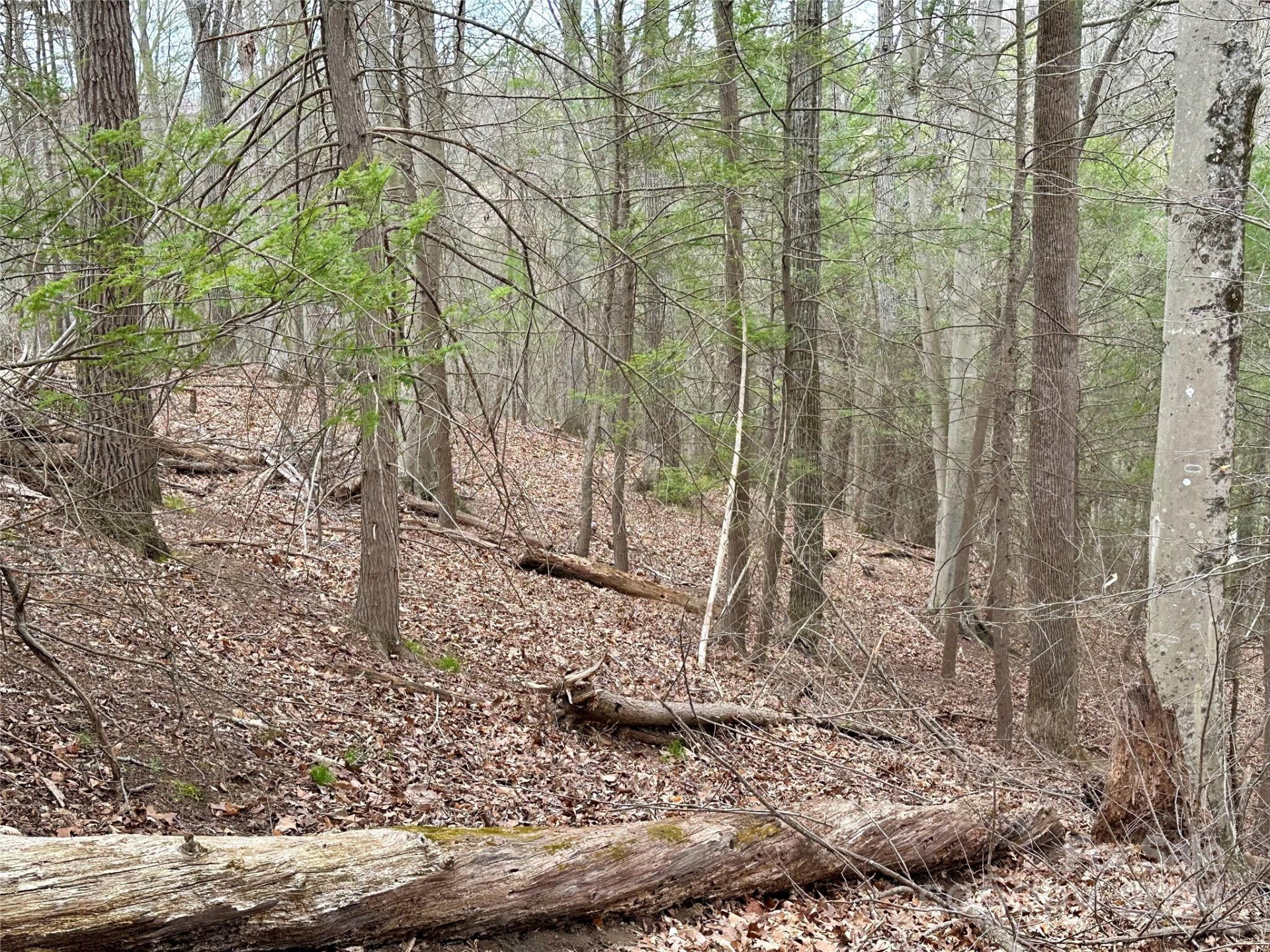 000 Fletcher Martin Road #2 & 3 - Photo 15