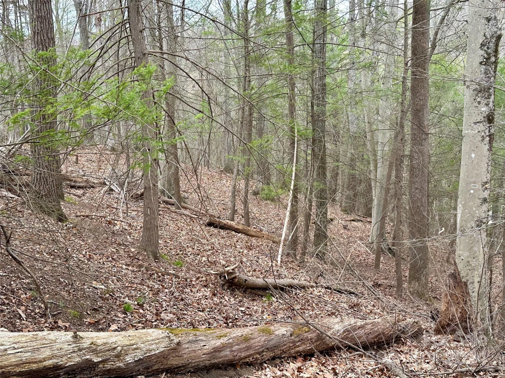 000 Fletcher Martin Road #2 & 3 - Photo 15