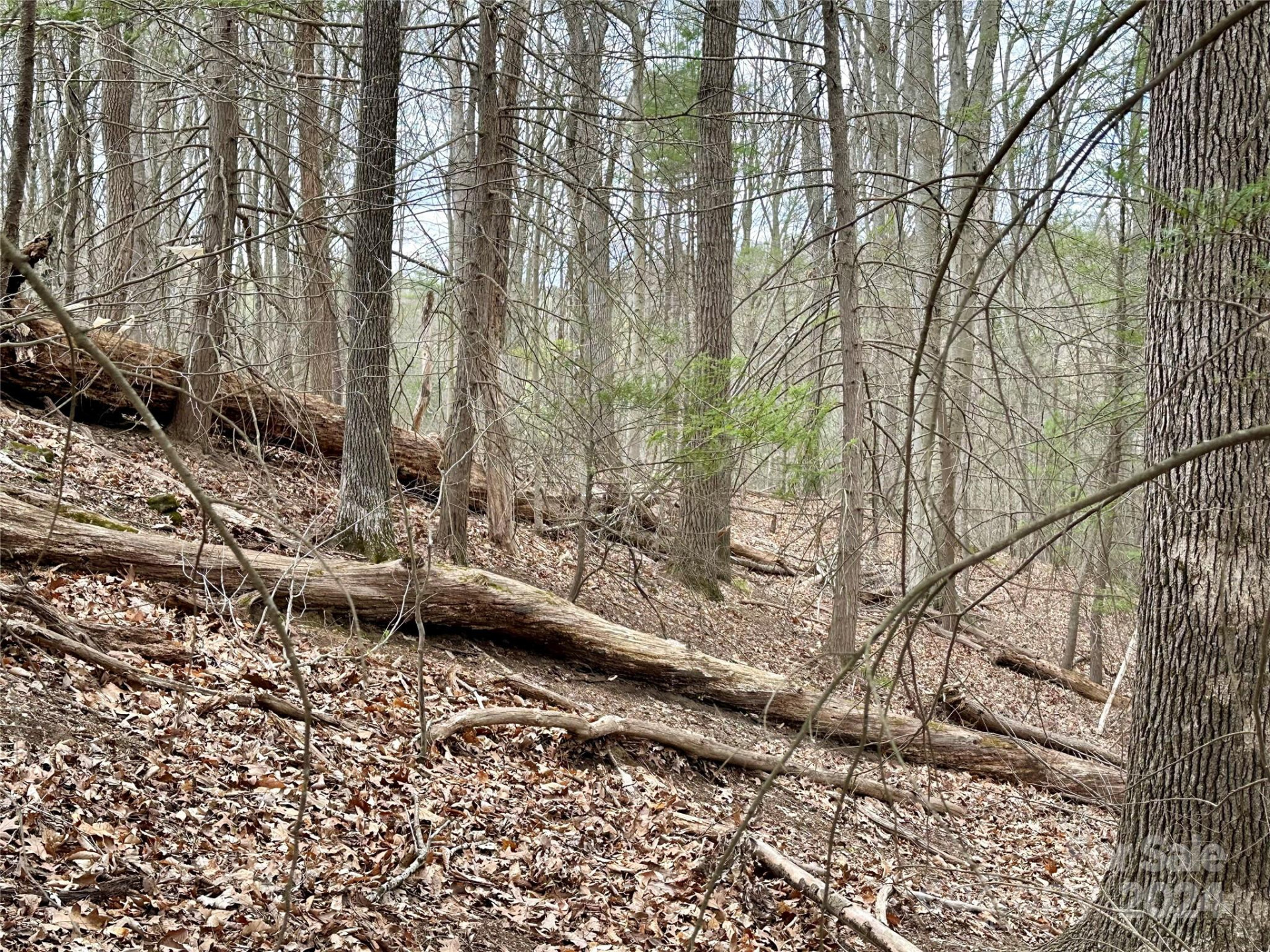 000 Fletcher Martin Road #2 & 3 - Photo 16