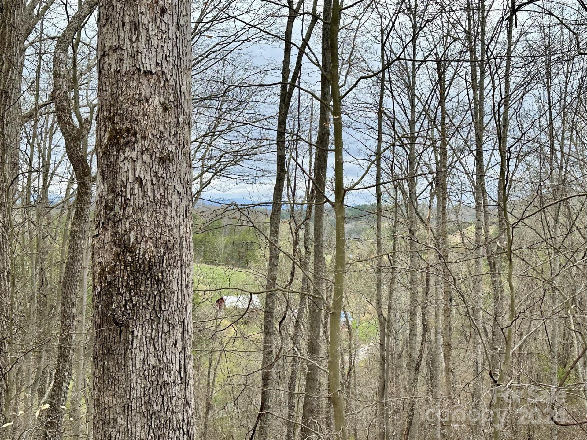 000 Fletcher Martin Road #2 & 3 - Photo 17