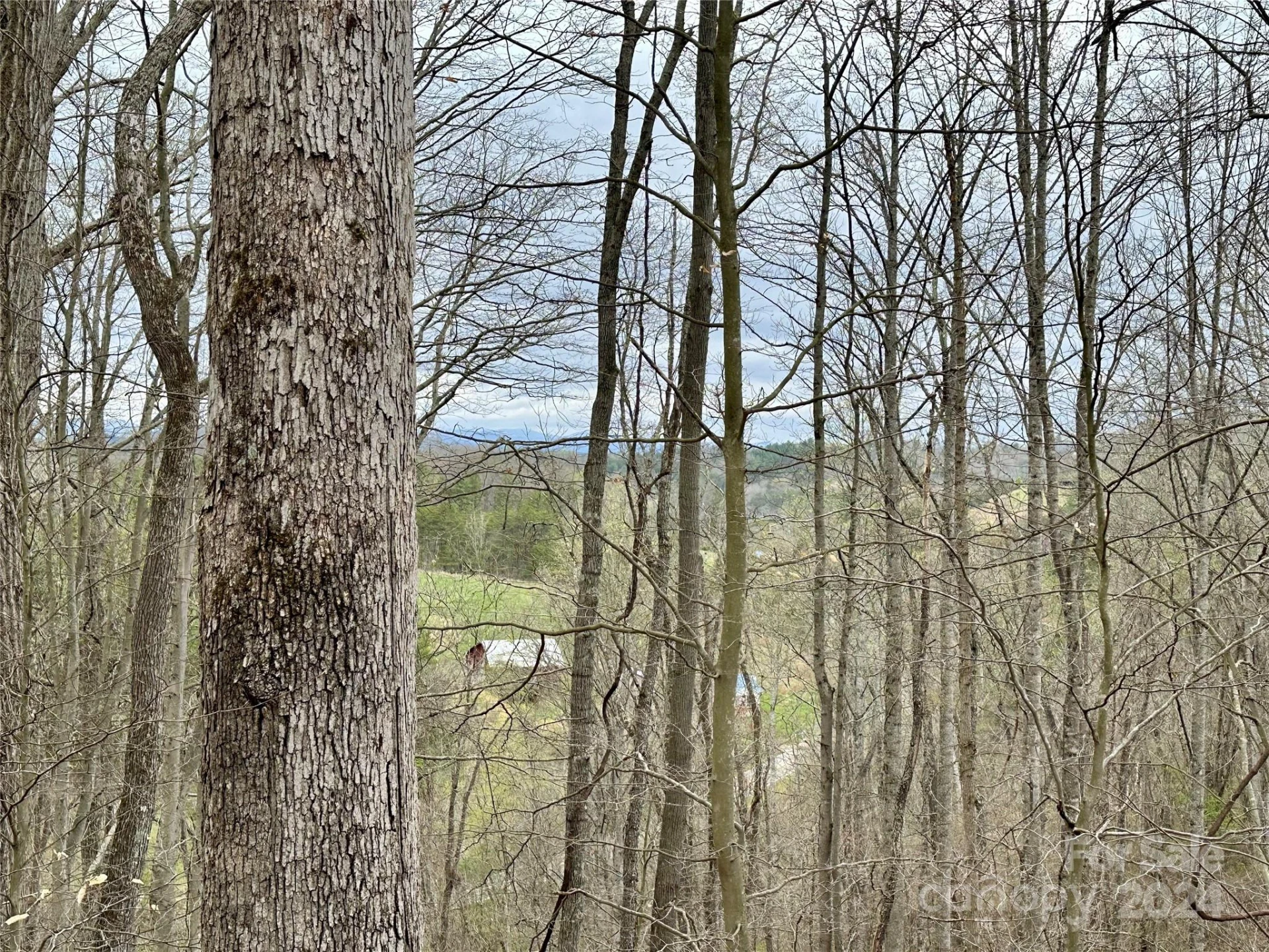 000 Fletcher Martin Road #2 & 3 - Photo 17