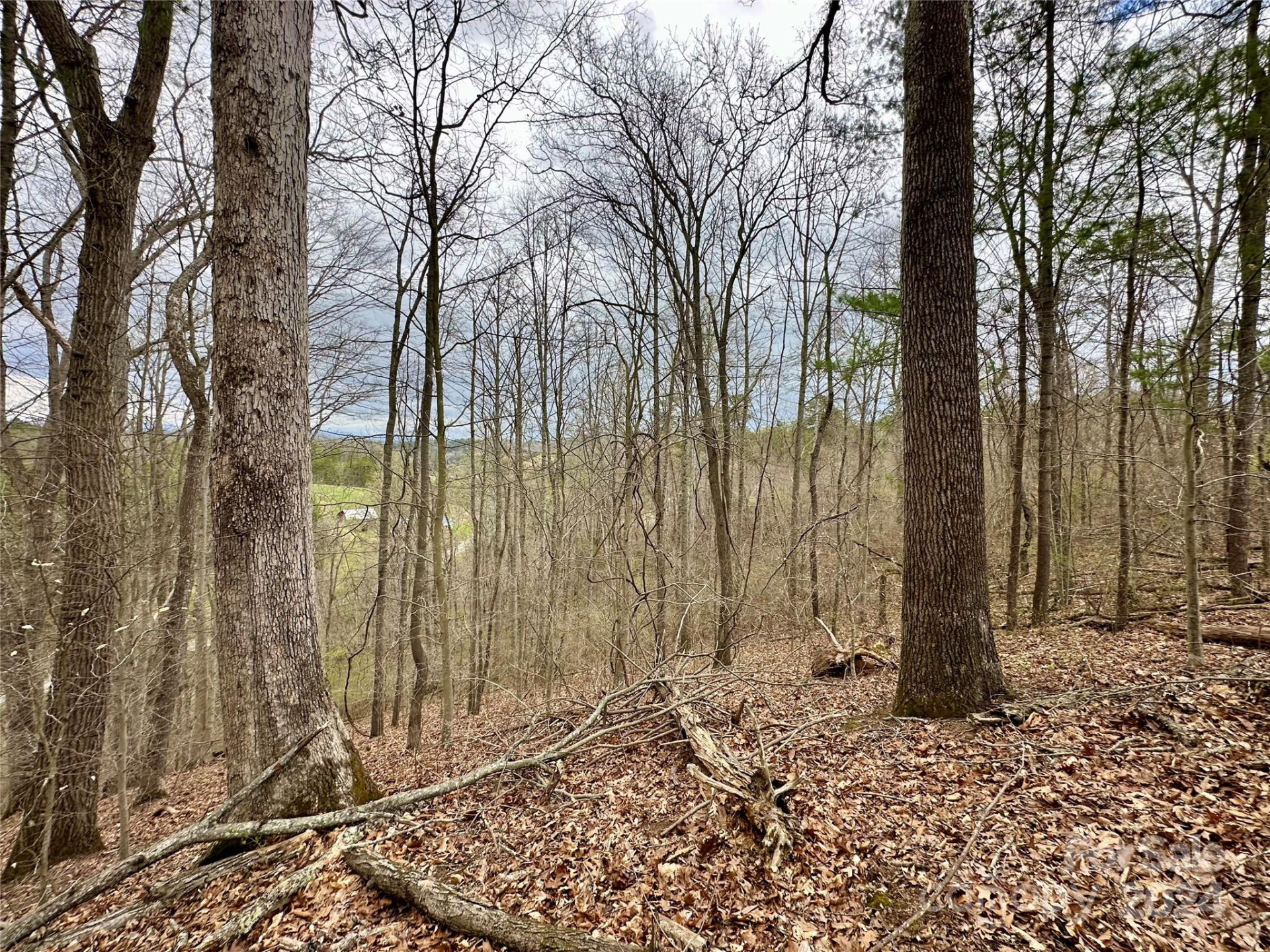 000 Fletcher Martin Road #2 & 3 - Photo 18