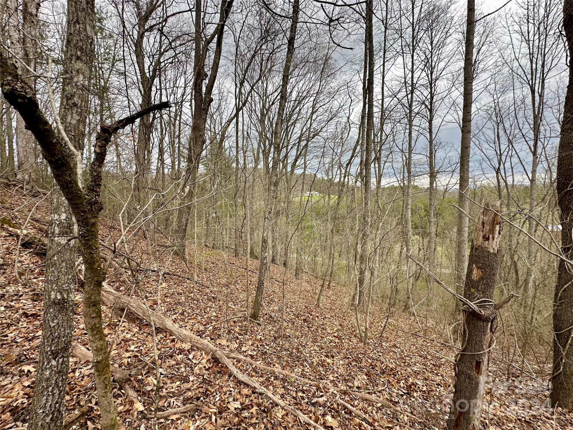 000 Fletcher Martin Road #2 & 3 - Photo 19