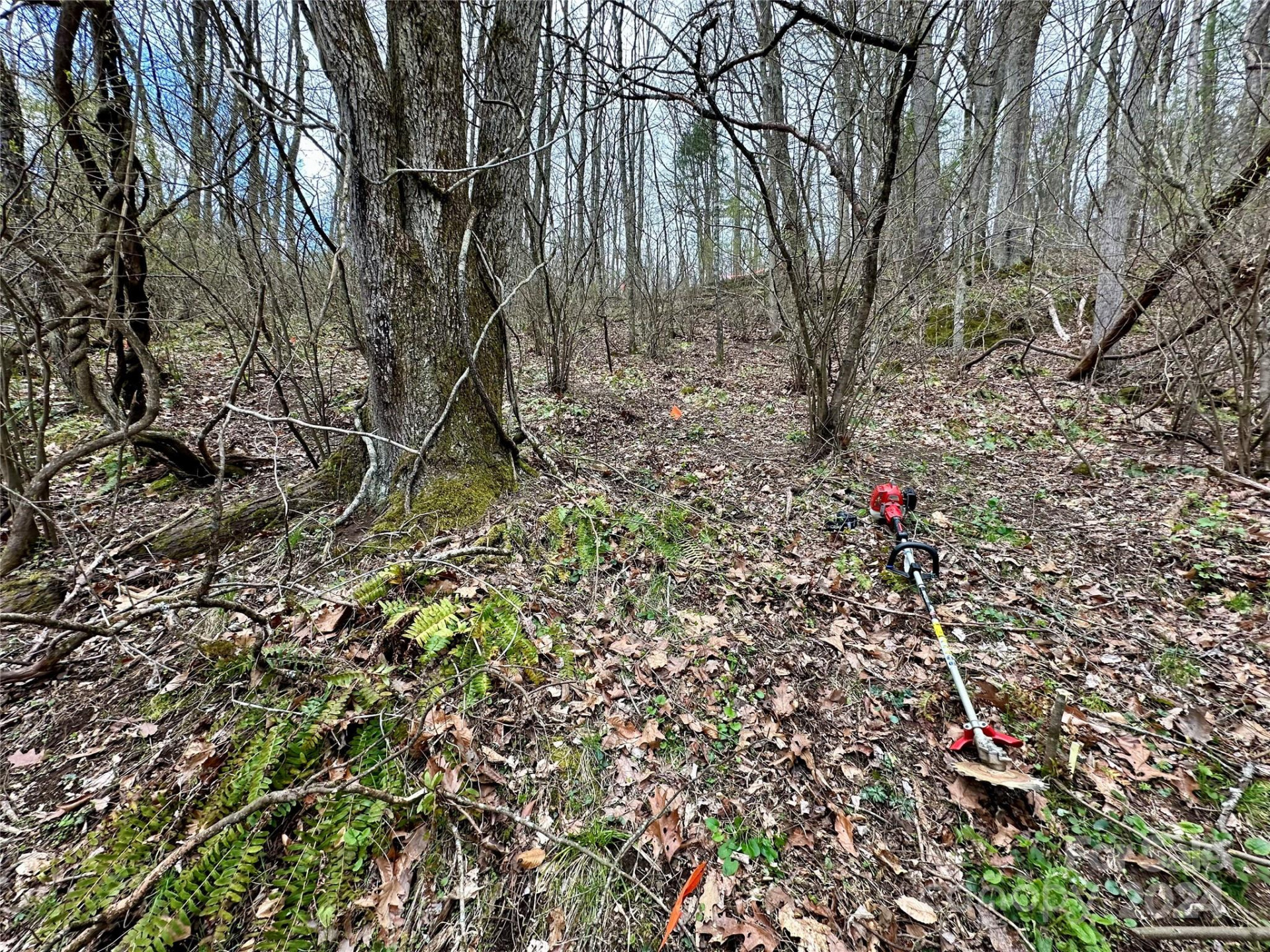 000 Fletcher Martin Road #2 & 3 - Photo 3