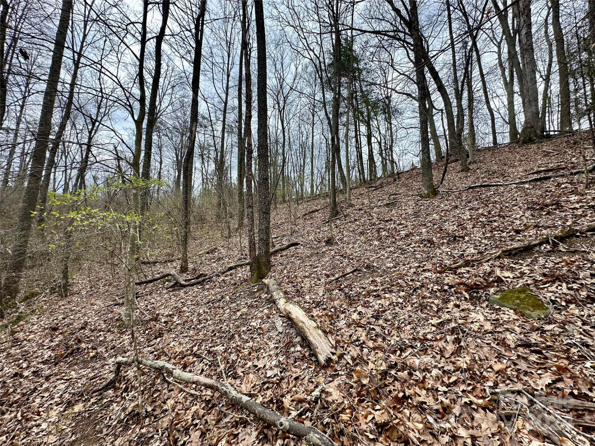 000 Fletcher Martin Road #2 & 3 - Photo 21