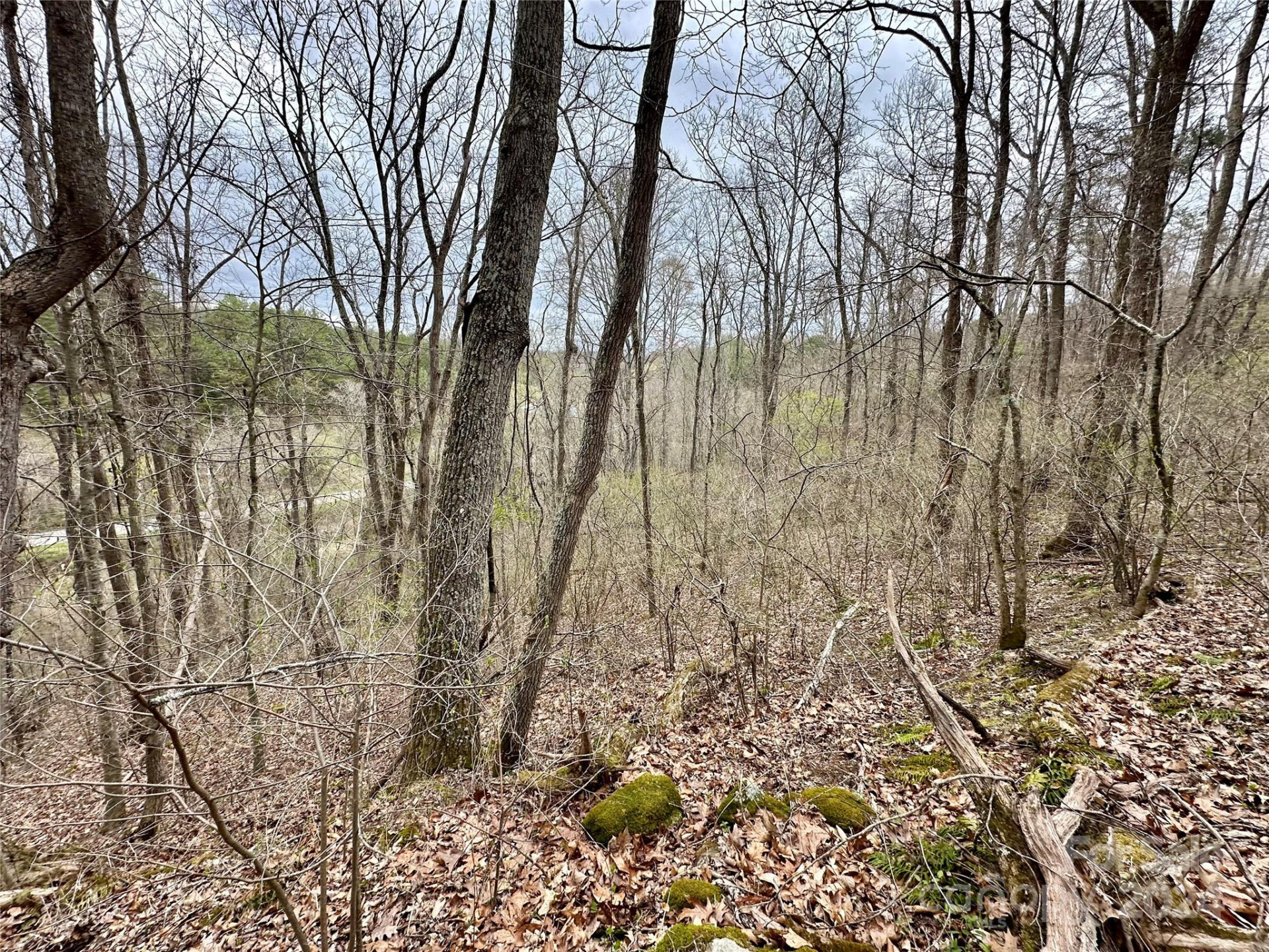 000 Fletcher Martin Road #2 & 3 - Photo 22