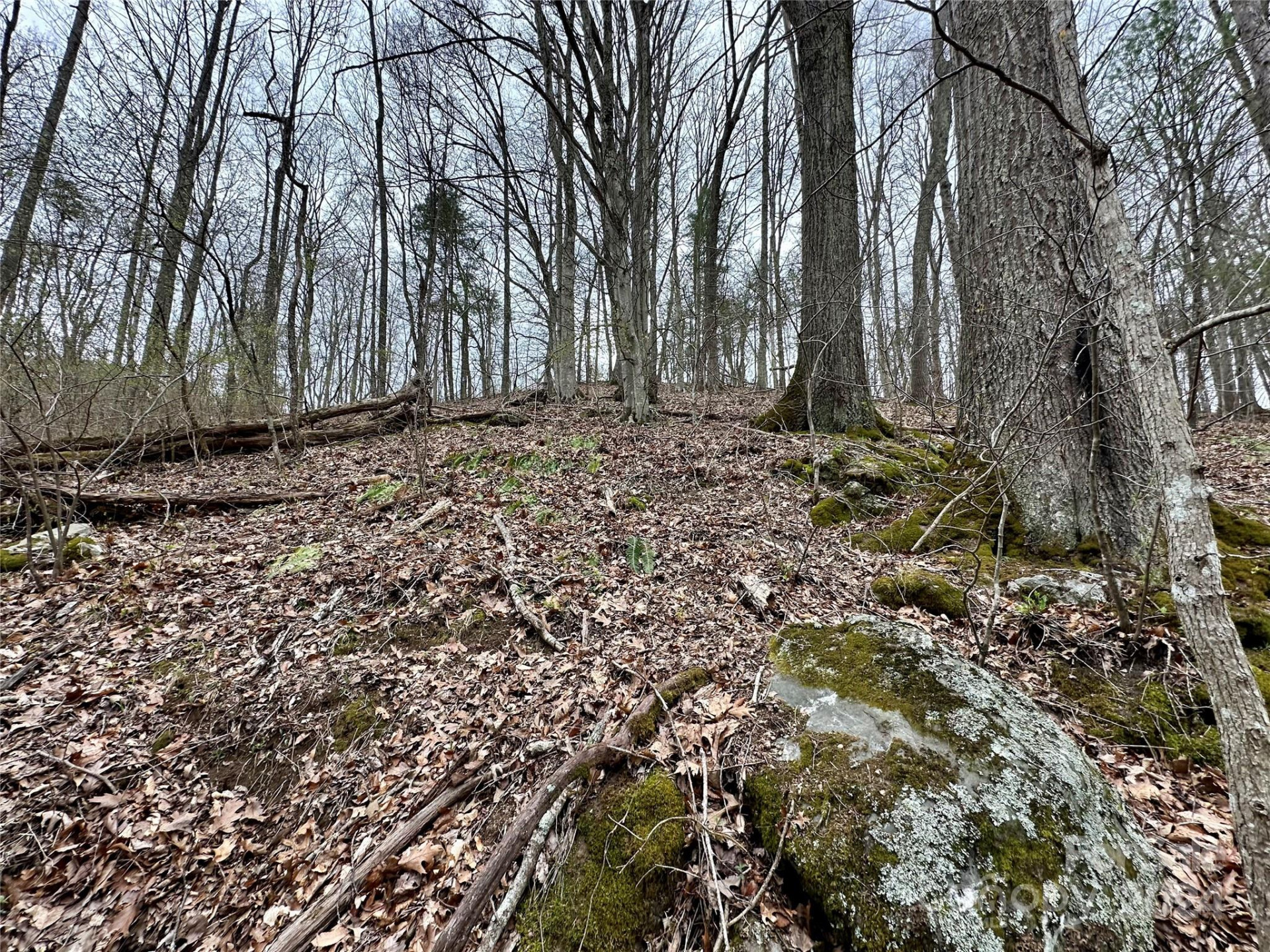 000 Fletcher Martin Road #2 & 3 - Photo 24