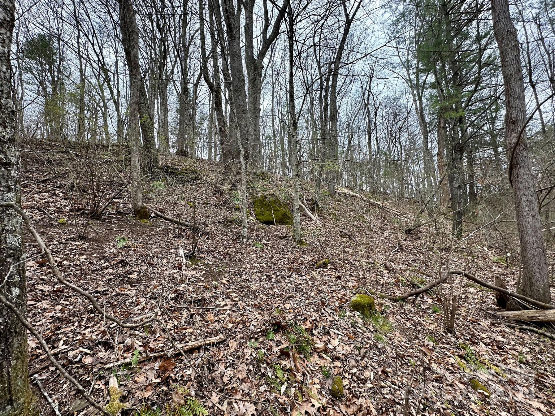 000 Fletcher Martin Road #2 & 3 - Photo 27