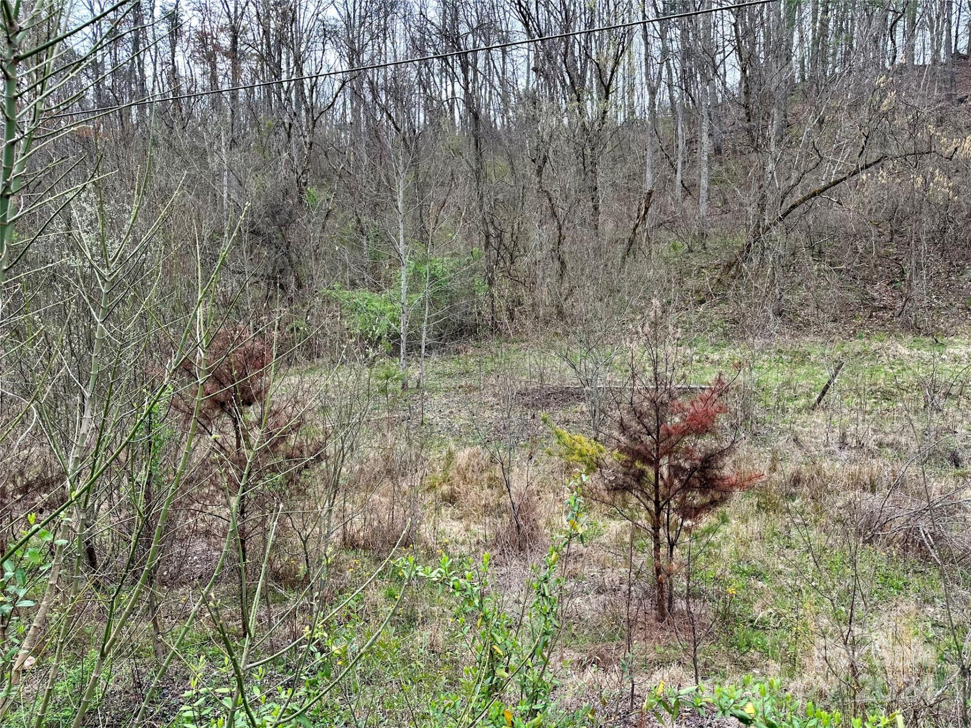 000 Fletcher Martin Road #2 & 3 - Photo 32