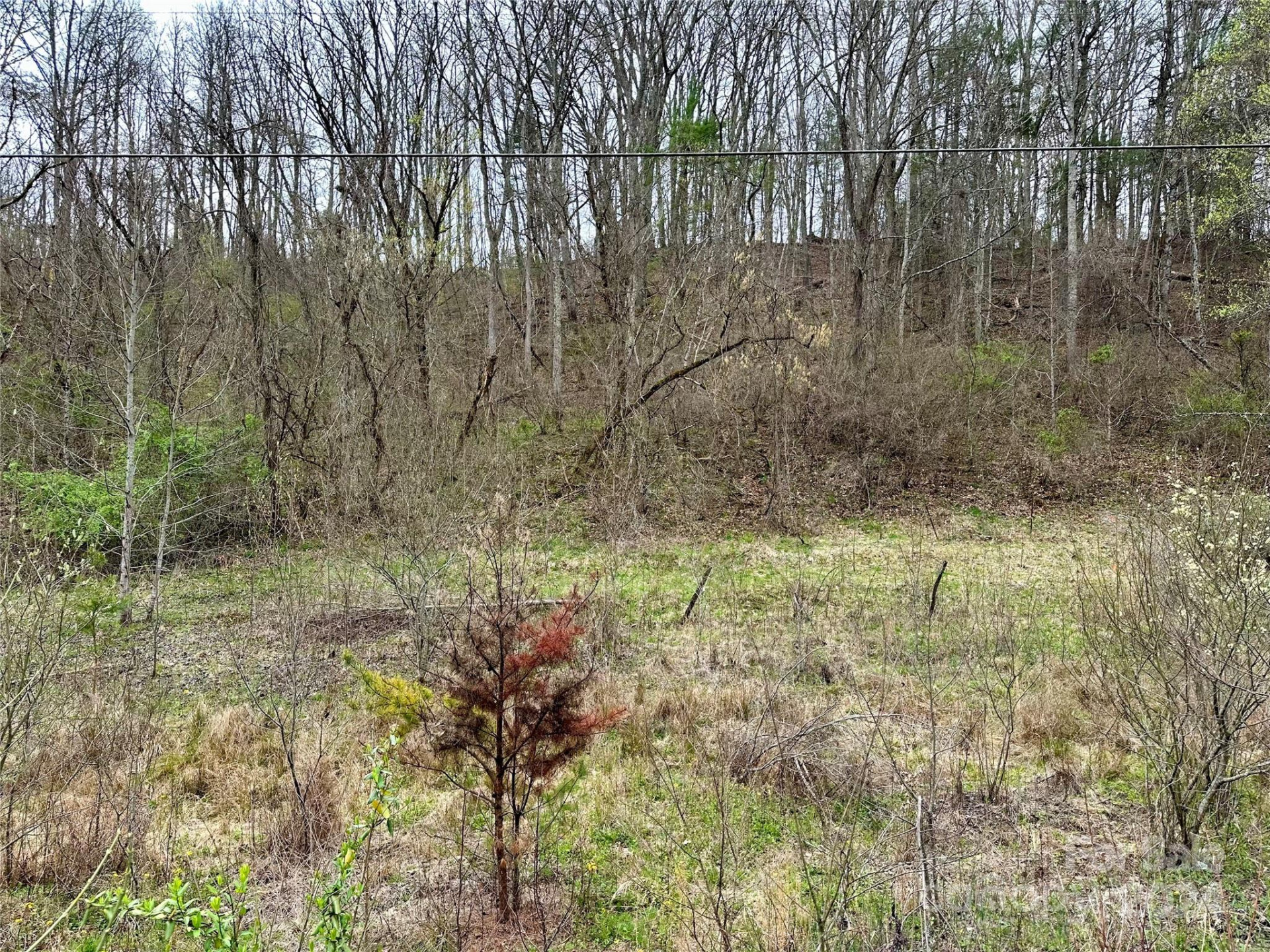 000 Fletcher Martin Road #2 & 3 - Photo 34