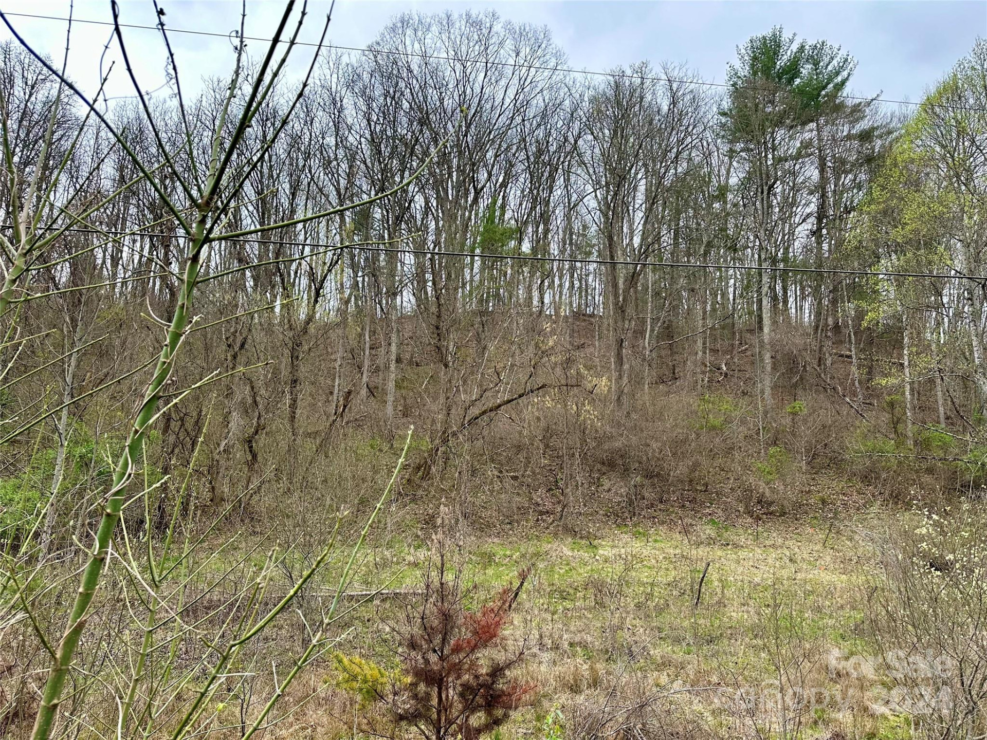 000 Fletcher Martin Road #2 & 3 - Photo 35